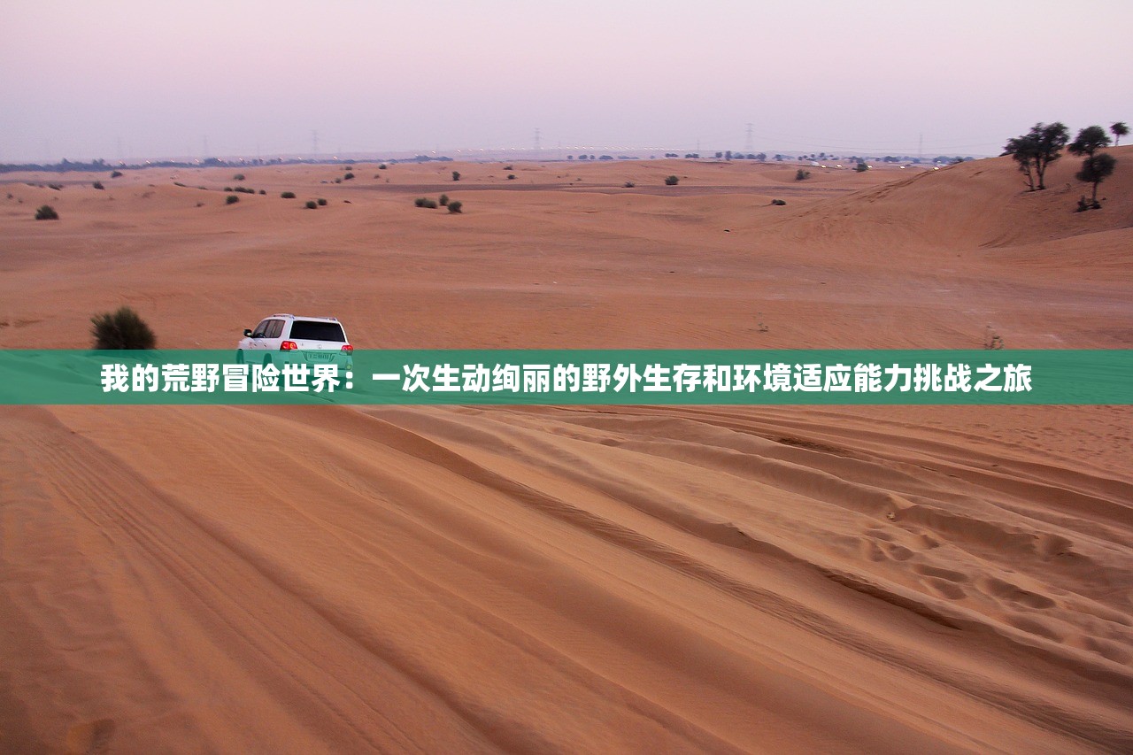我的荒野冒险世界：一次生动绚丽的野外生存和环境适应能力挑战之旅