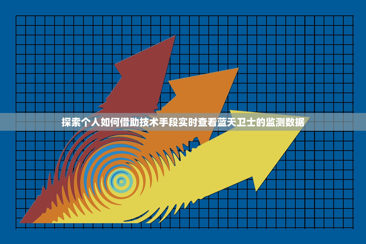探索个人如何借助技术手段实时查看蓝天卫士的监测数据