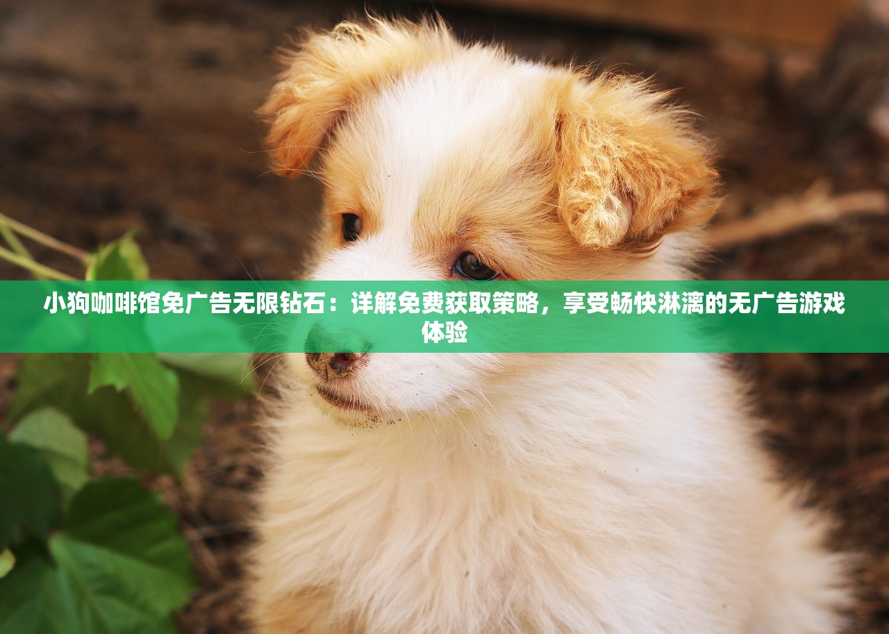 小狗咖啡馆免广告无限钻石：详解免费获取策略，享受畅快淋漓的无广告游戏体验