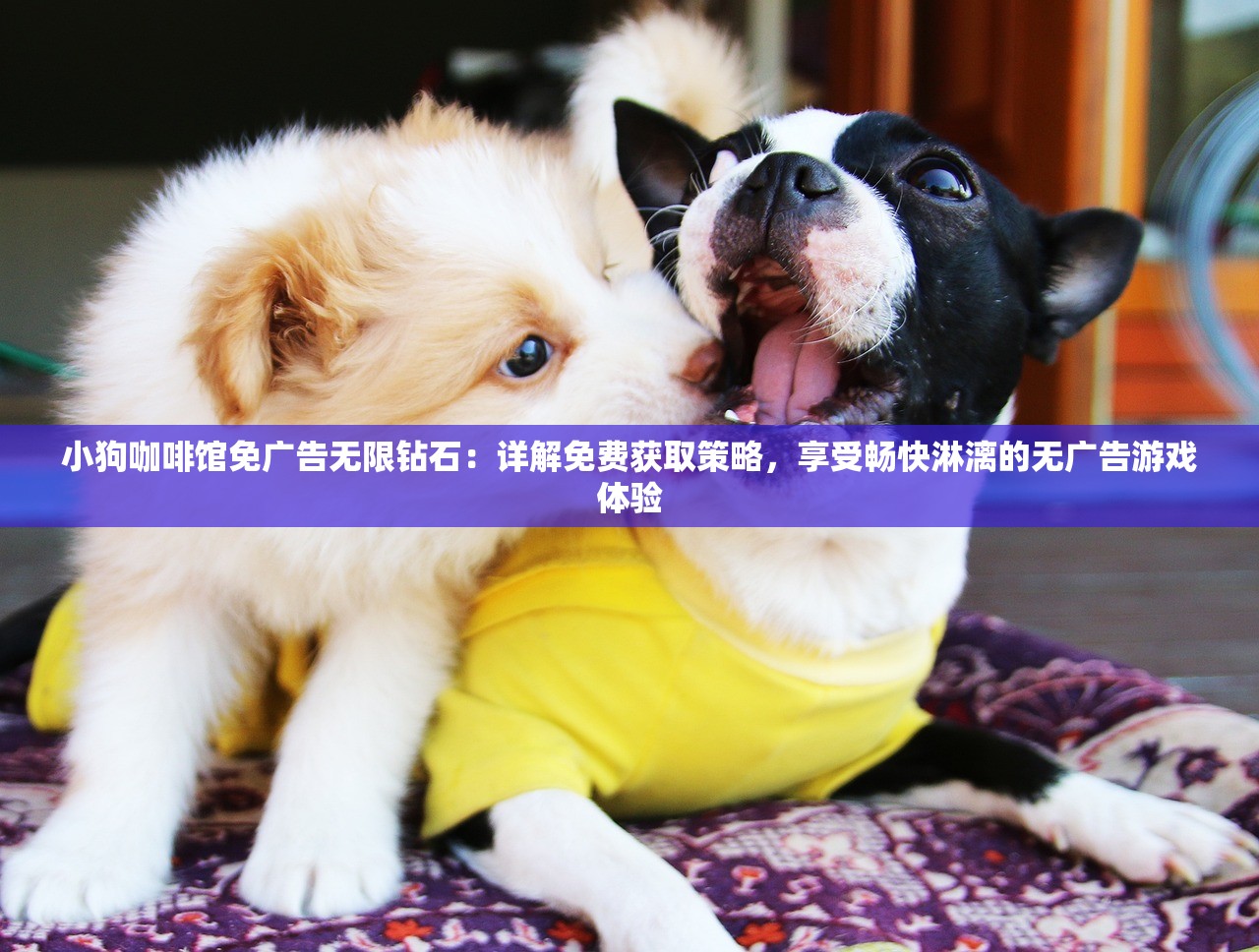 小狗咖啡馆免广告无限钻石：详解免费获取策略，享受畅快淋漓的无广告游戏体验