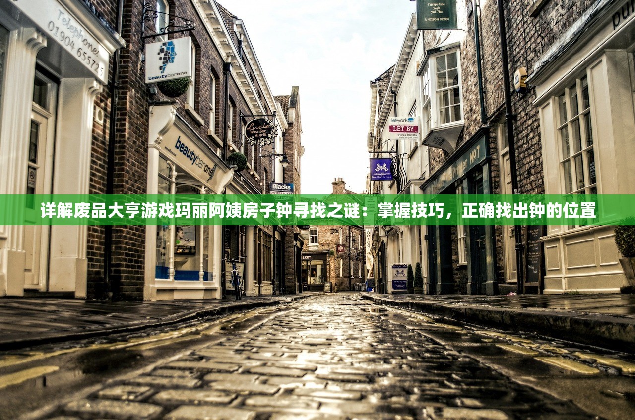 详解废品大亨游戏玛丽阿姨房子钟寻找之谜：掌握技巧，正确找出钟的位置