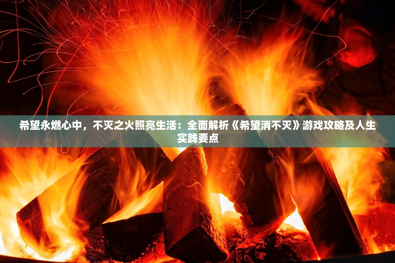 希望永燃心中，不灭之火照亮生活：全面解析《希望消不灭》游戏攻略及人生实践要点