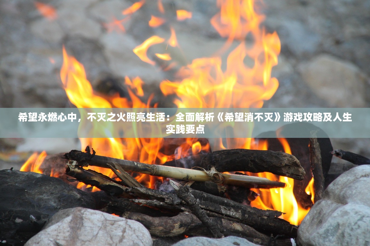 希望永燃心中，不灭之火照亮生活：全面解析《希望消不灭》游戏攻略及人生实践要点