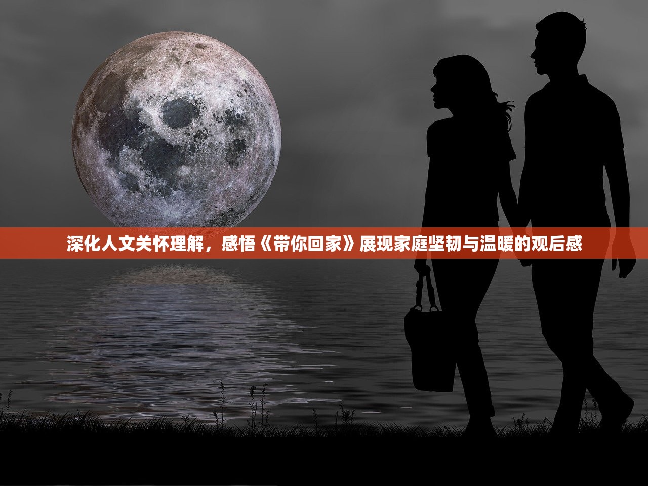 深化人文关怀理解，感悟《带你回家》展现家庭坚韧与温暖的观后感