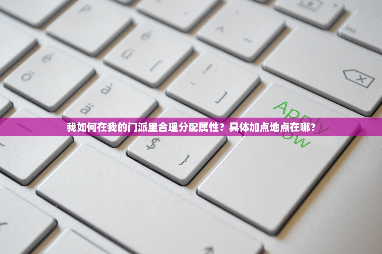 我如何在我的门派里合理分配属性？具体加点地点在哪？