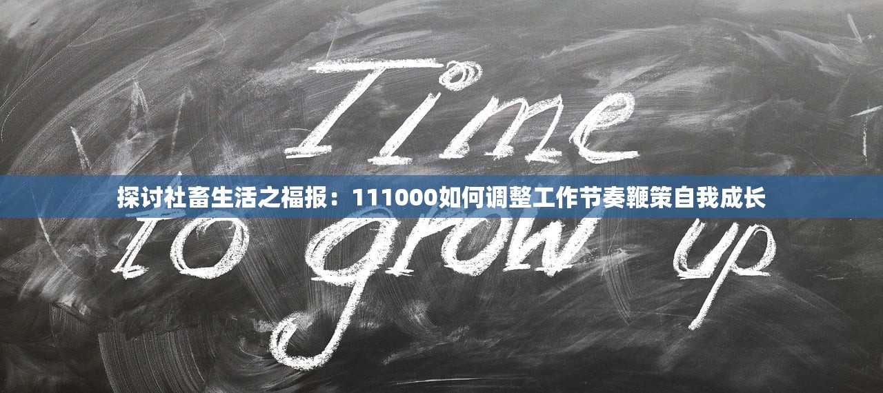 探讨社畜生活之福报：111000如何调整工作节奏鞭策自我成长