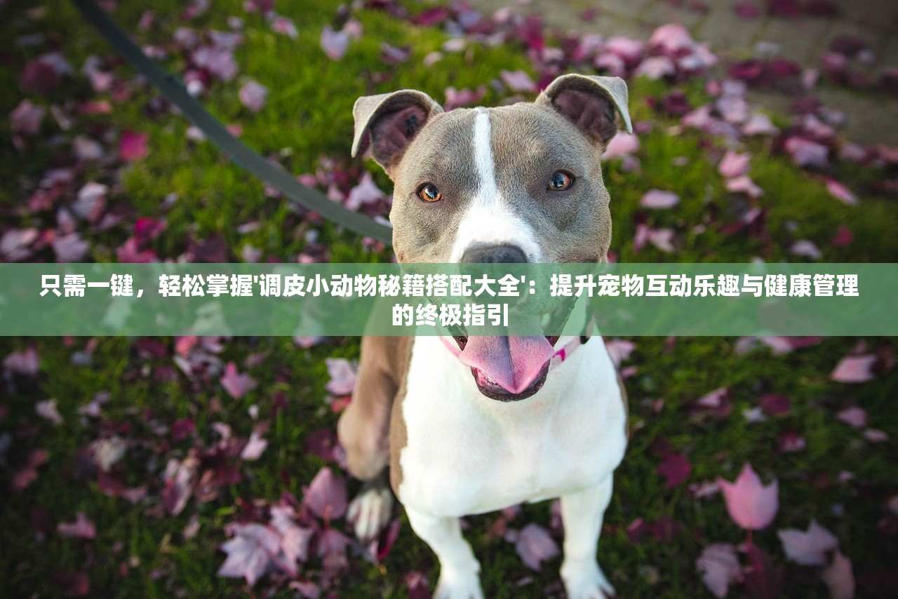 只需一键，轻松掌握'调皮小动物秘籍搭配大全'：提升宠物互动乐趣与健康管理的终极指引