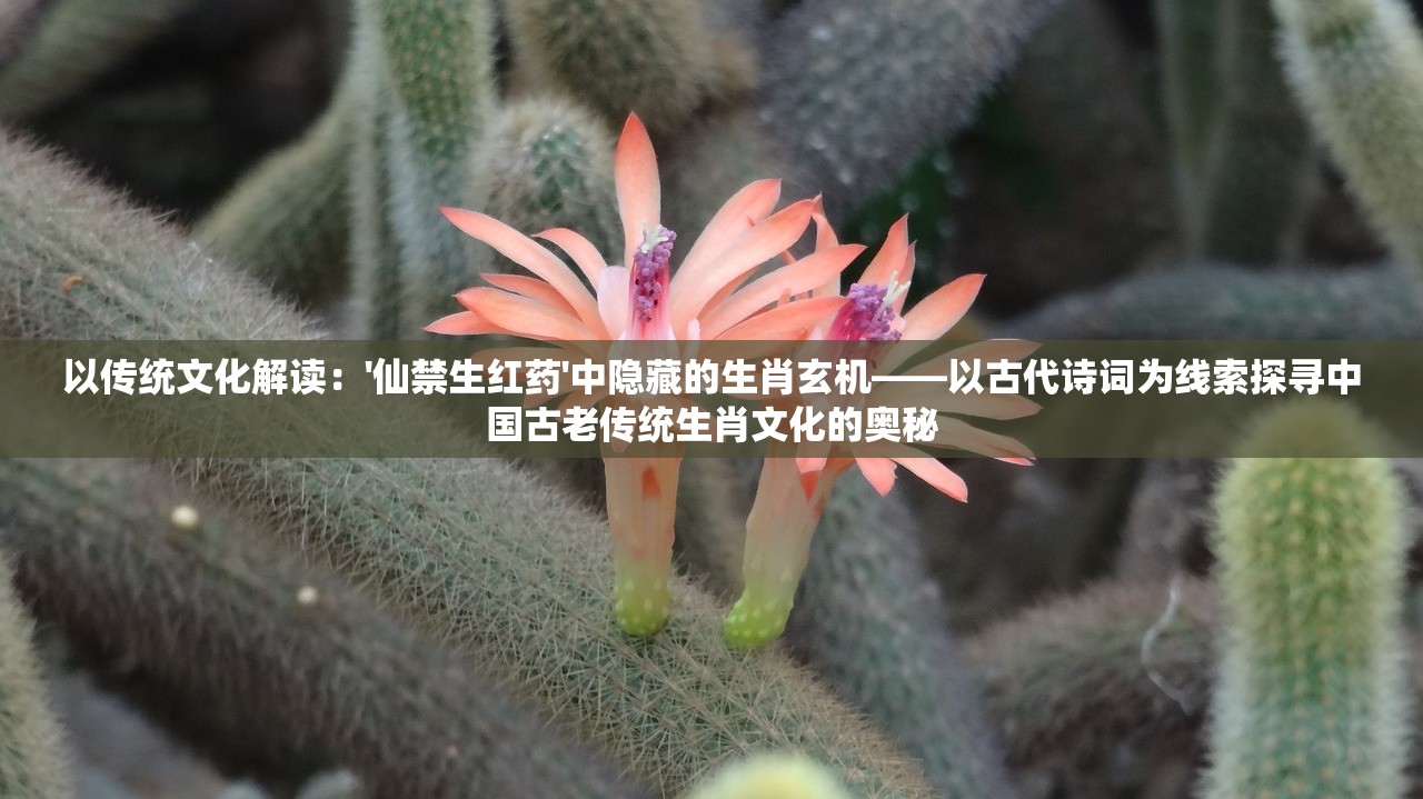楼宇之上，朦胧如诗的独特魅力