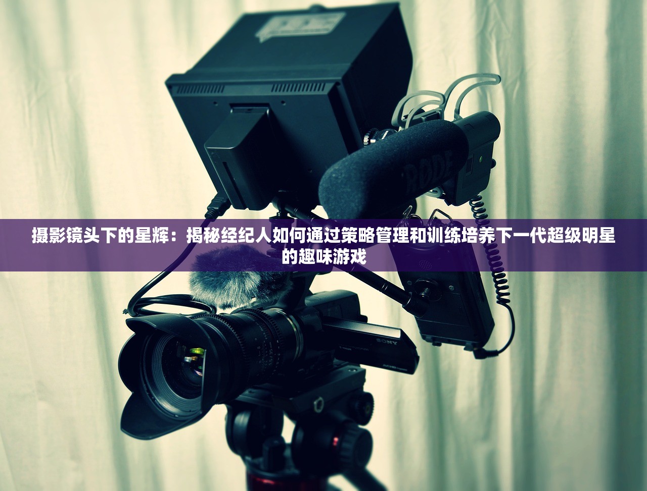 摄影镜头下的星辉：揭秘经纪人如何通过策略管理和训练培养下一代超级明星的趣味游戏