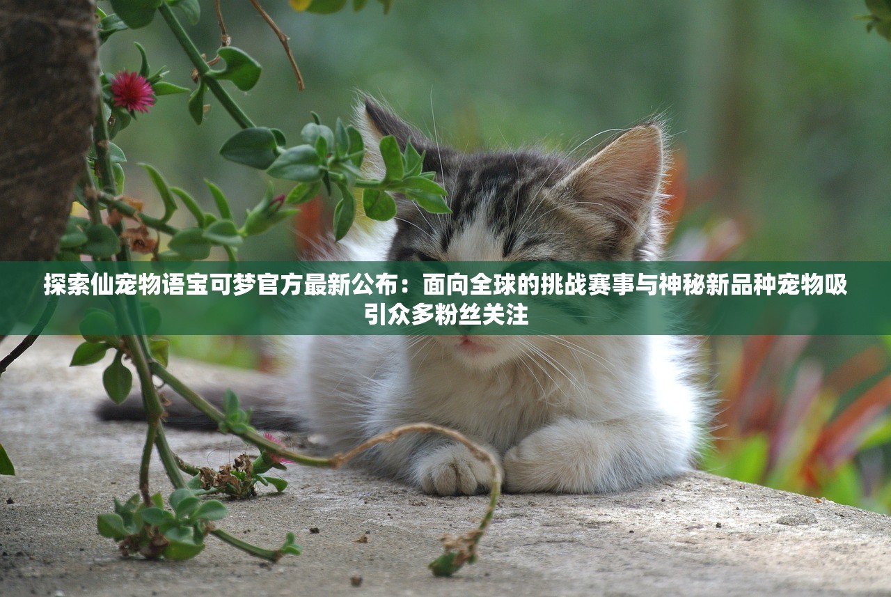 探索仙宠物语宝可梦官方最新公布：面向全球的挑战赛事与神秘新品种宠物吸引众多粉丝关注