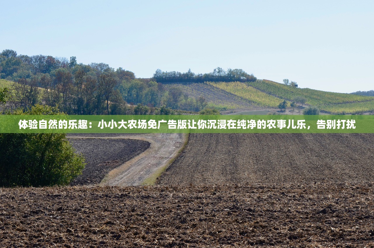 体验自然的乐趣：小小大农场免广告版让你沉浸在纯净的农事儿乐，告别打扰