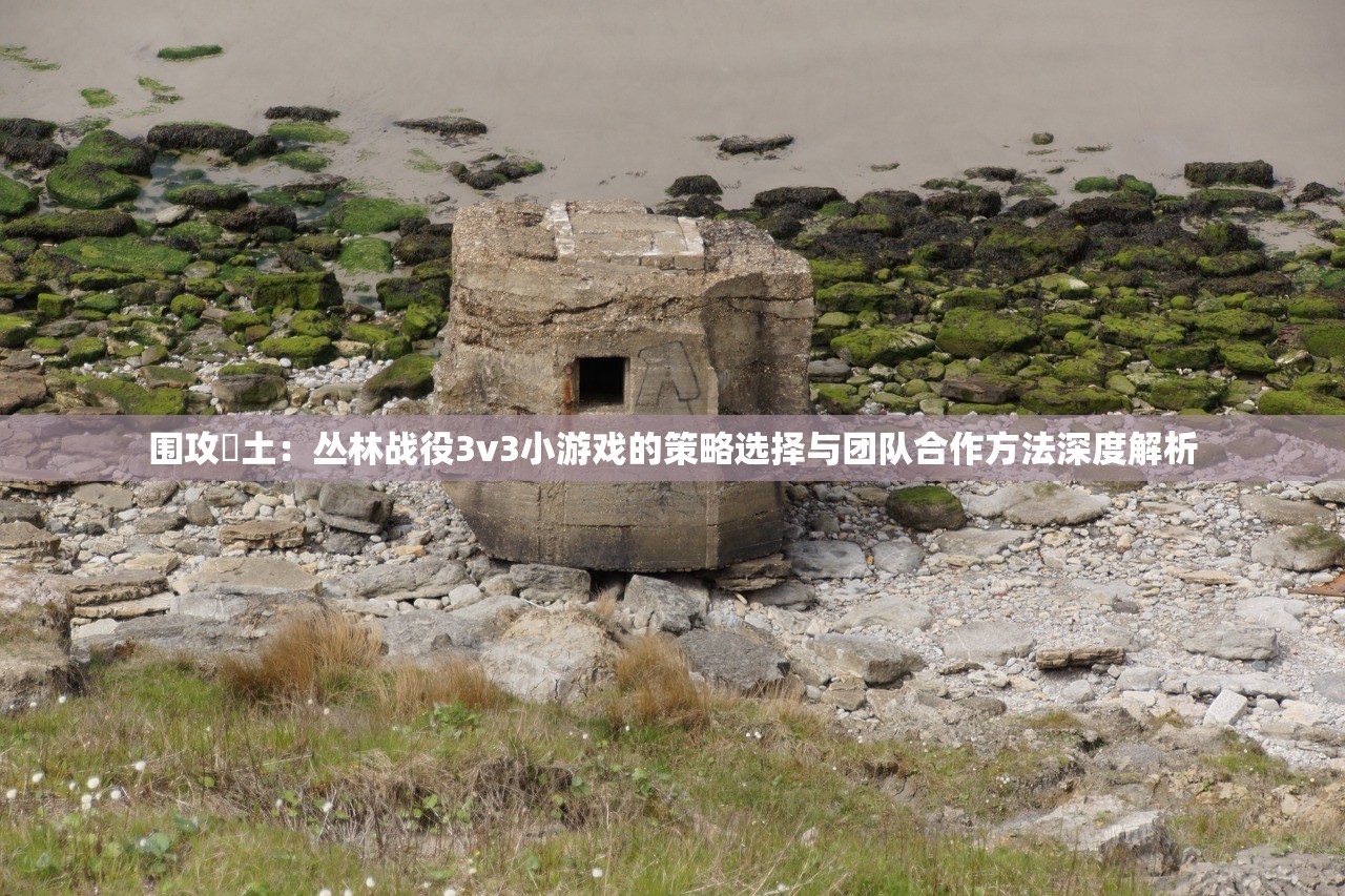 围攻熱土：丛林战役3v3小游戏的策略选择与团队合作方法深度解析