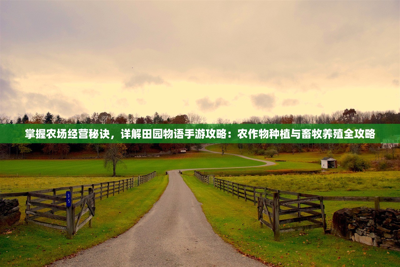 掌握农场经营秘诀，详解田园物语手游攻略：农作物种植与畜牧养殖全攻略