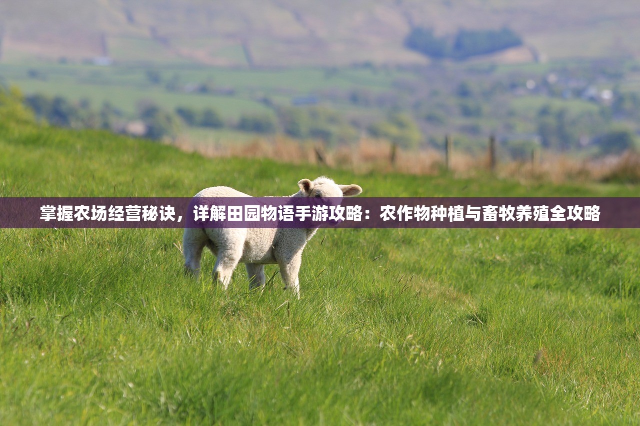 (龙套的英雄之路txt92章)龙套英雄，揭秘其诞生时刻与背后的故事