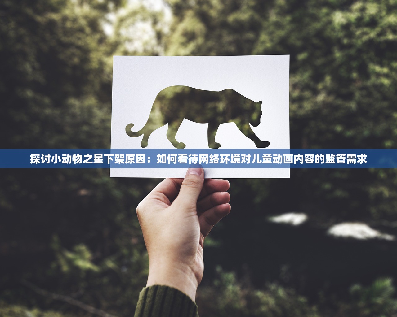 探讨小动物之星下架原因：如何看待网络环境对儿童动画内容的监管需求