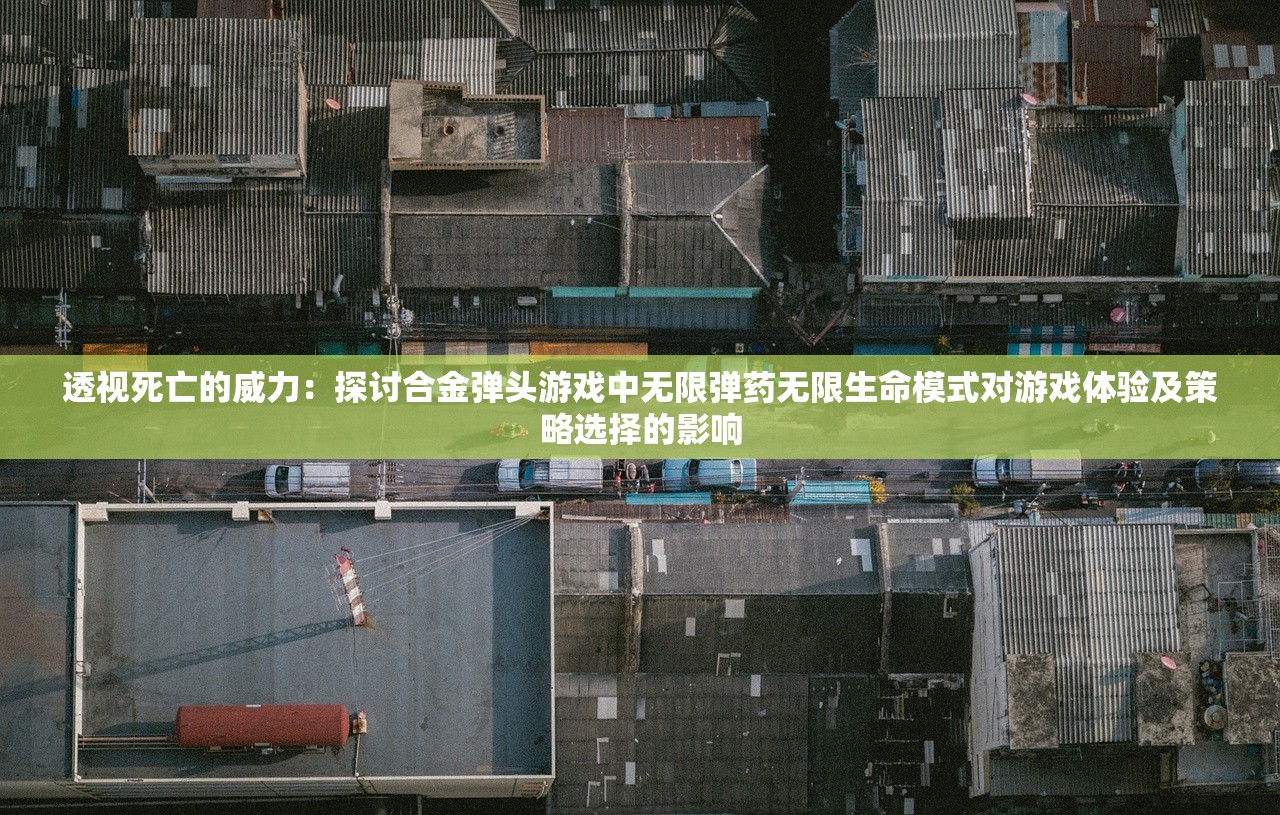 透视死亡的威力：探讨合金弹头游戏中无限弹药无限生命模式对游戏体验及策略选择的影响