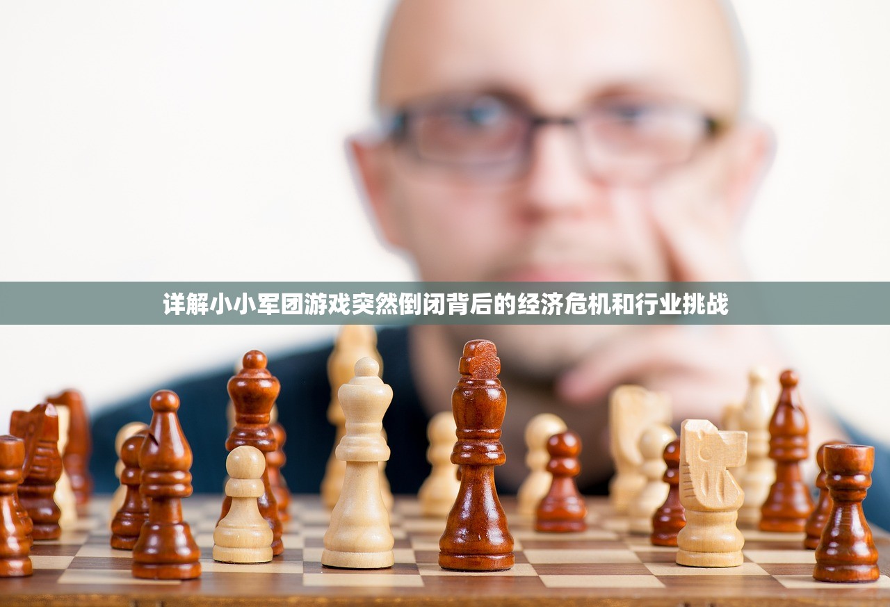 详解小小军团游戏突然倒闭背后的经济危机和行业挑战