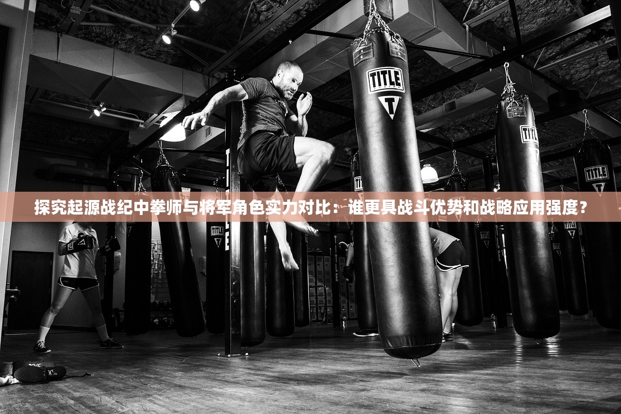 探究起源战纪中拳师与将军角色实力对比：谁更具战斗优势和战略应用强度？