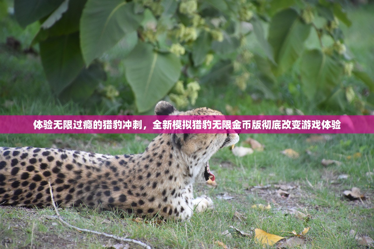 体验无限过瘾的猎豹冲刺，全新模拟猎豹无限金币版彻底改变游戏体验