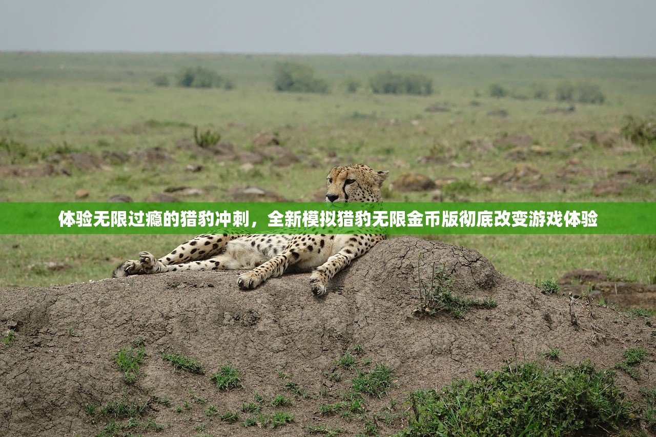 体验无限过瘾的猎豹冲刺，全新模拟猎豹无限金币版彻底改变游戏体验
