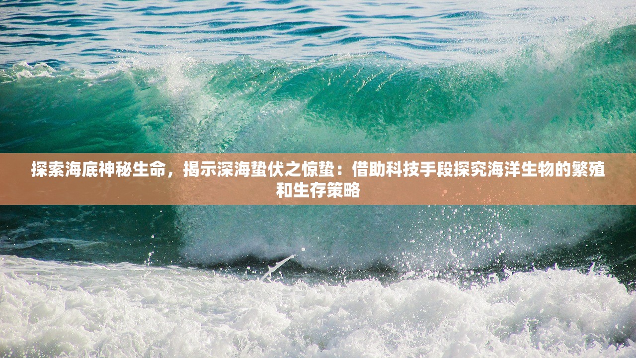 探索海底神秘生命，揭示深海蛰伏之惊蛰：借助科技手段探究海洋生物的繁殖和生存策略