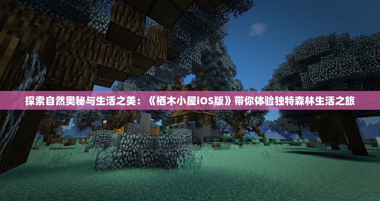 (进击的赵云改名叫什么来着)进击的赵云，英雄名字的变迁