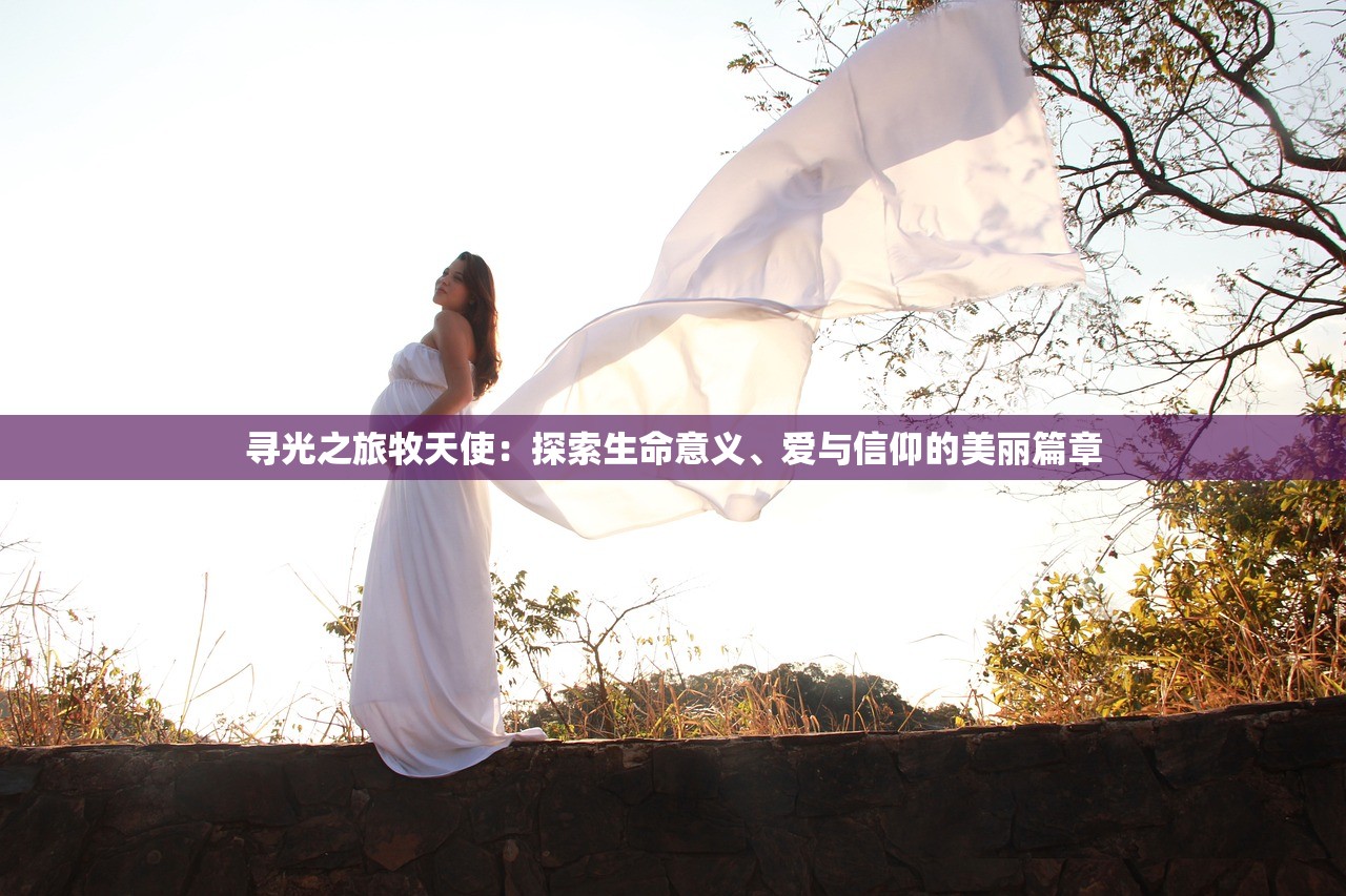 寻光之旅牧天使：探索生命意义、爱与信仰的美丽篇章