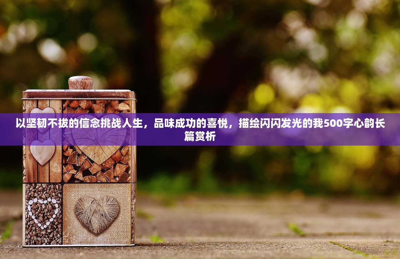 以坚韧不拔的信念挑战人生，品味成功的喜悦，描绘闪闪发光的我500字心韵长篇赏析