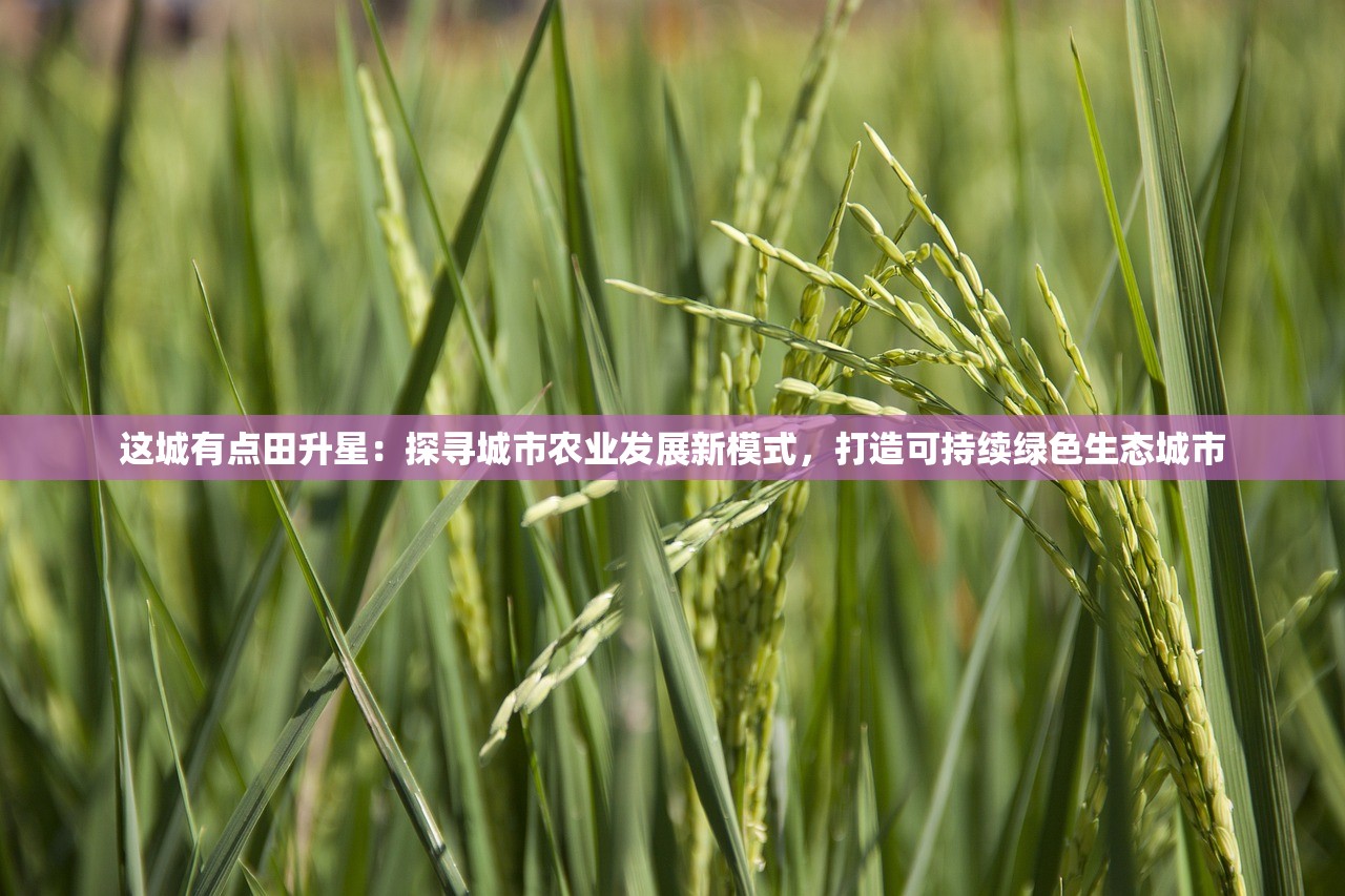 这城有点田升星：探寻城市农业发展新模式，打造可持续绿色生态城市