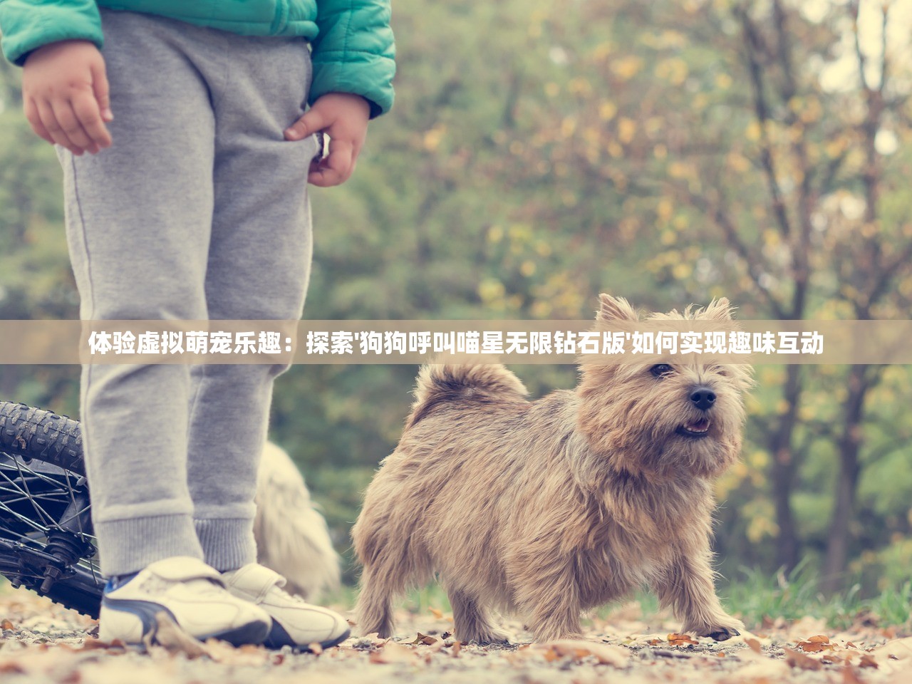 体验虚拟萌宠乐趣：探索'狗狗呼叫喵星无限钻石版'如何实现趣味互动