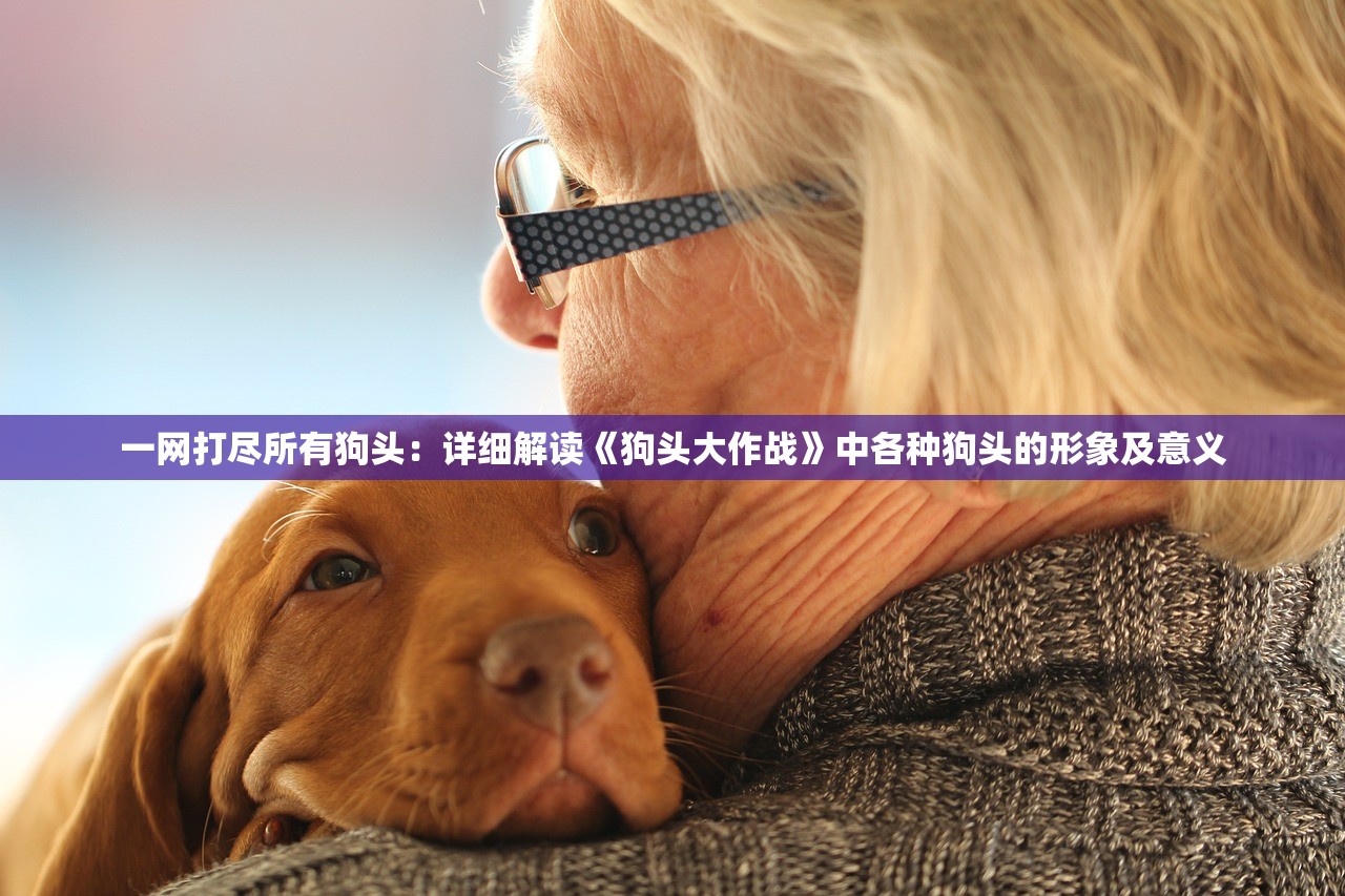 (梦幻江湖阵容 张三丰)梦幻江湖阵容，策略、搭配与无限可能