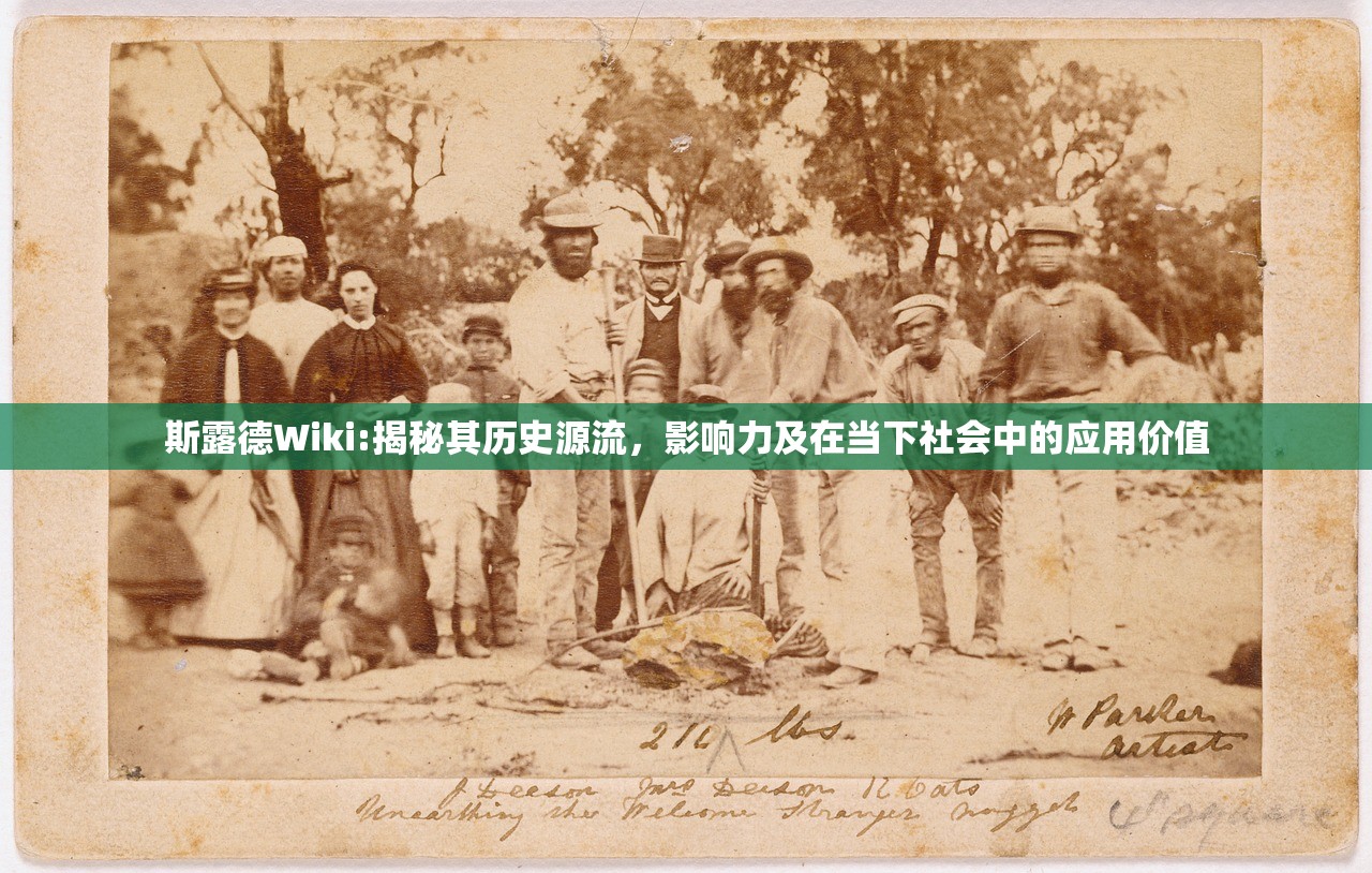 (暮色方舟吧)暮色方舟是否停运，深度分析与探讨