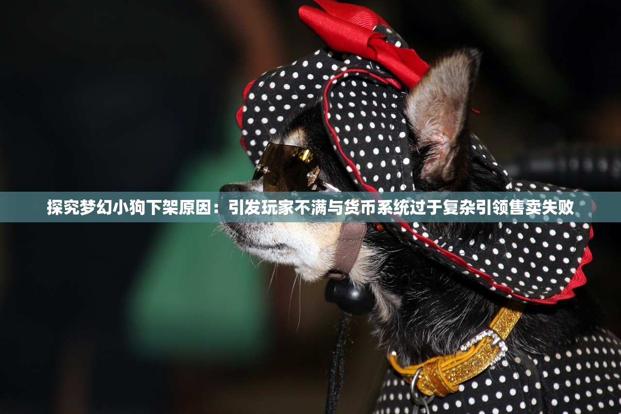 (街球艺术2.0官网)街球艺术2.0，新一代篮球艺术的探索与挑战