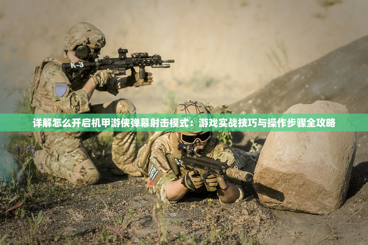 (寻侠四星家将时间顺序)寻侠之侠影四星家将大全，深度解析与常见问题解答