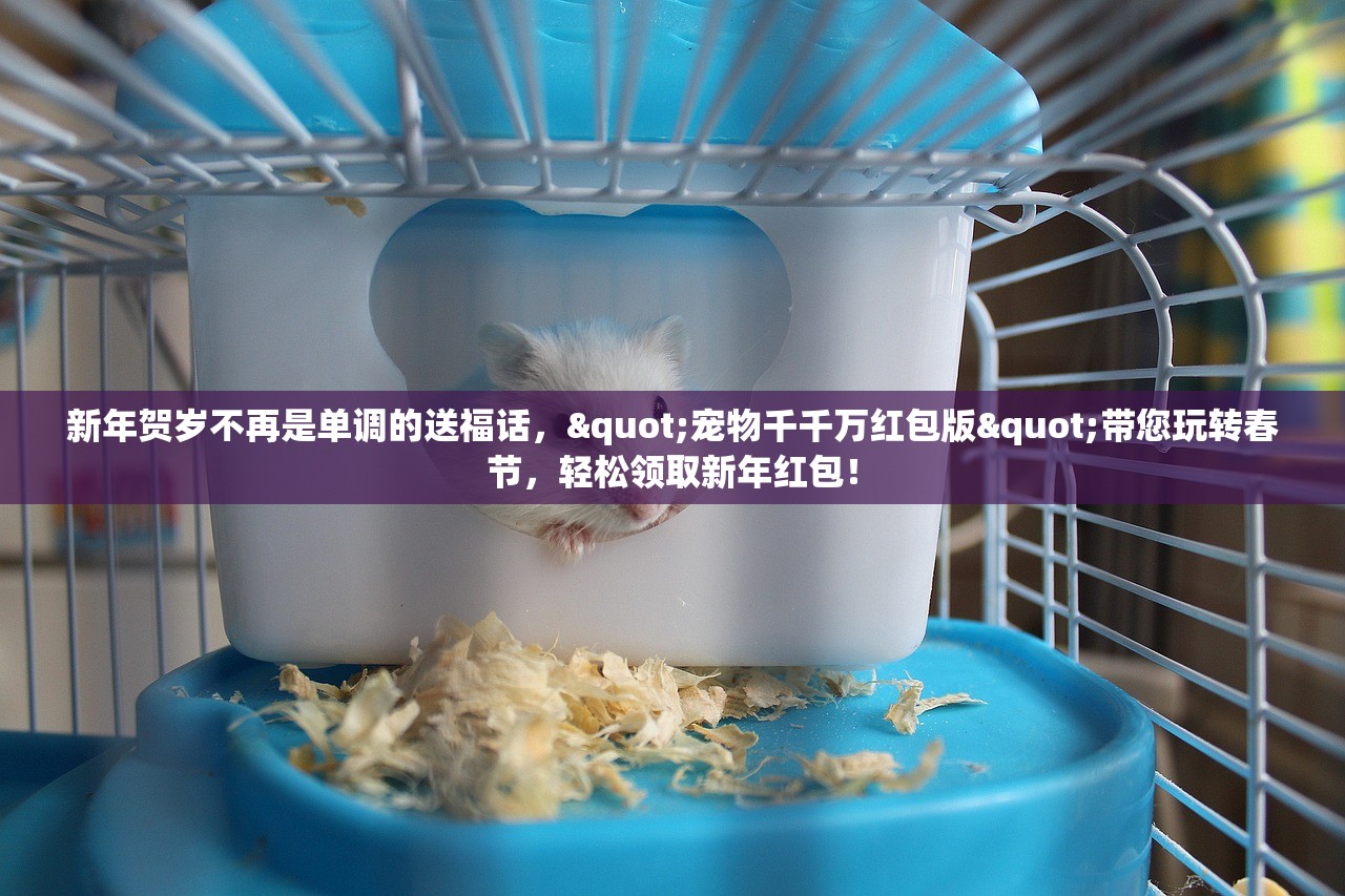 (热江赏金版手游官网)热江赏金版，全新体验与深度解读