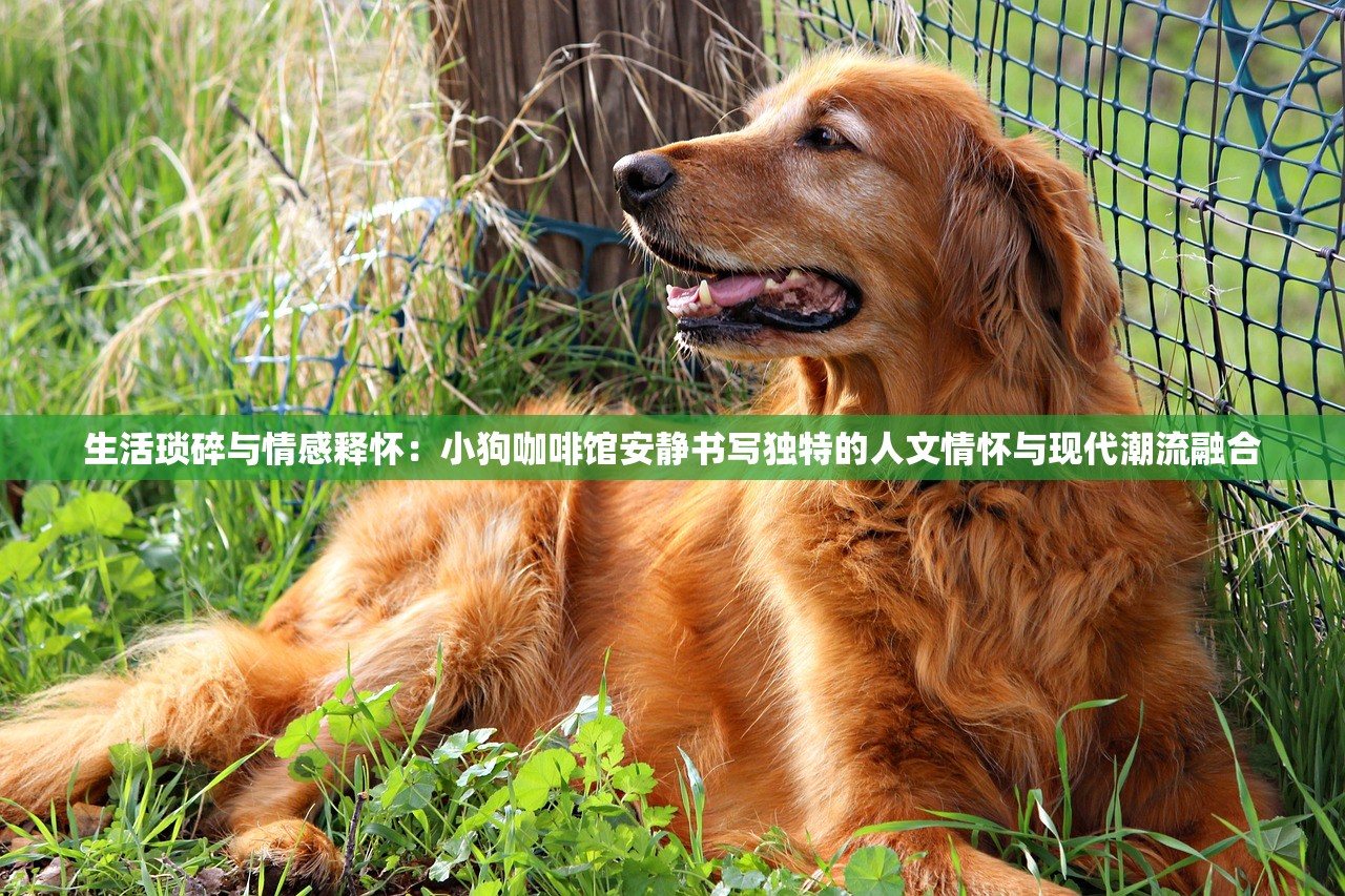 (天剑传说手游下载)天剑传说手游，探索奇幻剑术世界的无尽魅力