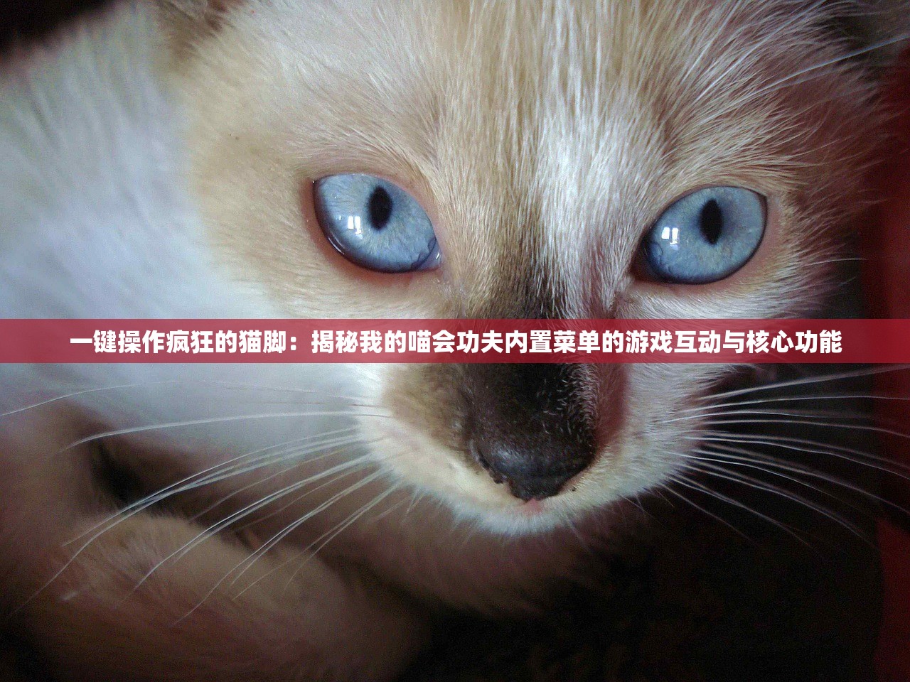 (凡人修仙记石枫百度百科)凡人修仙传之石枫传奇