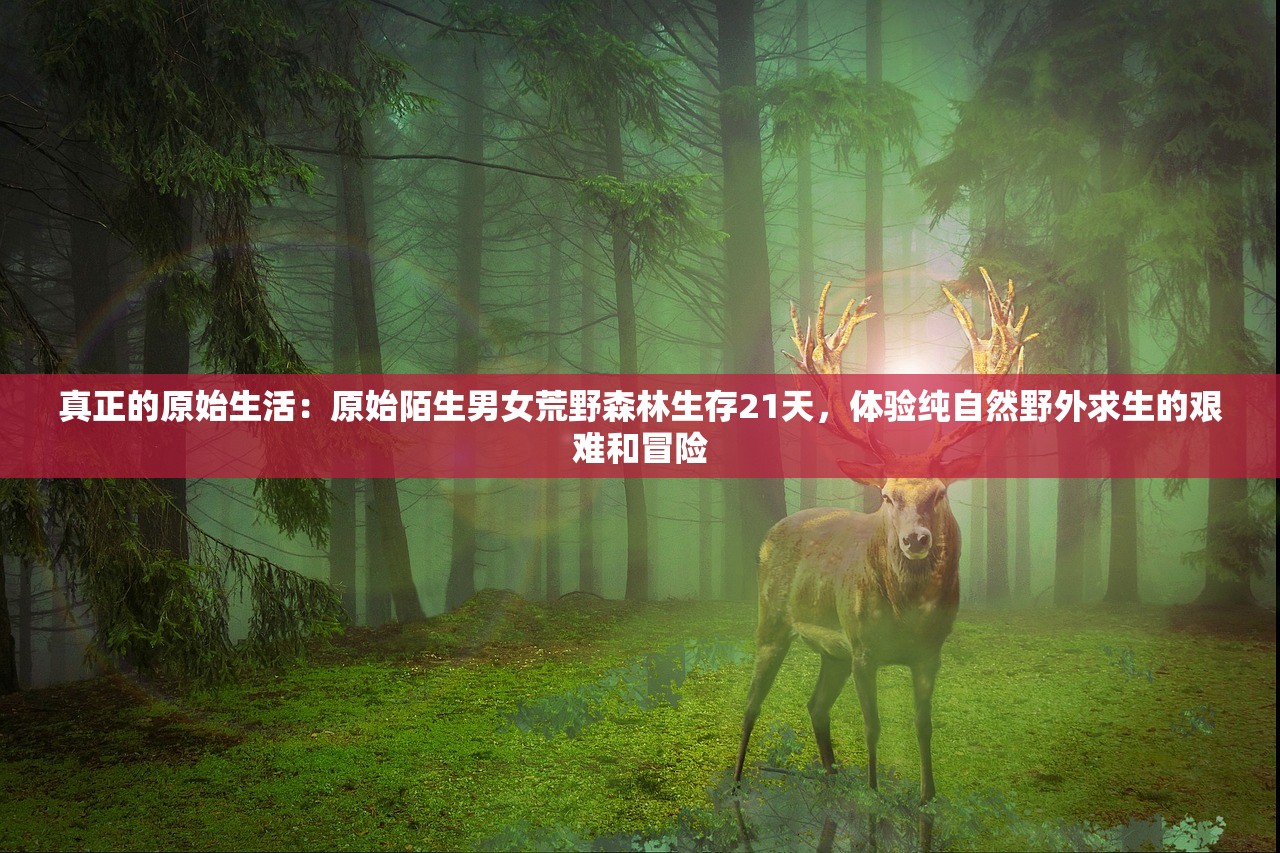(青鸟殷勤为探看的青鸟是什么意思)青鸟MP3，音乐飞翔的翅膀