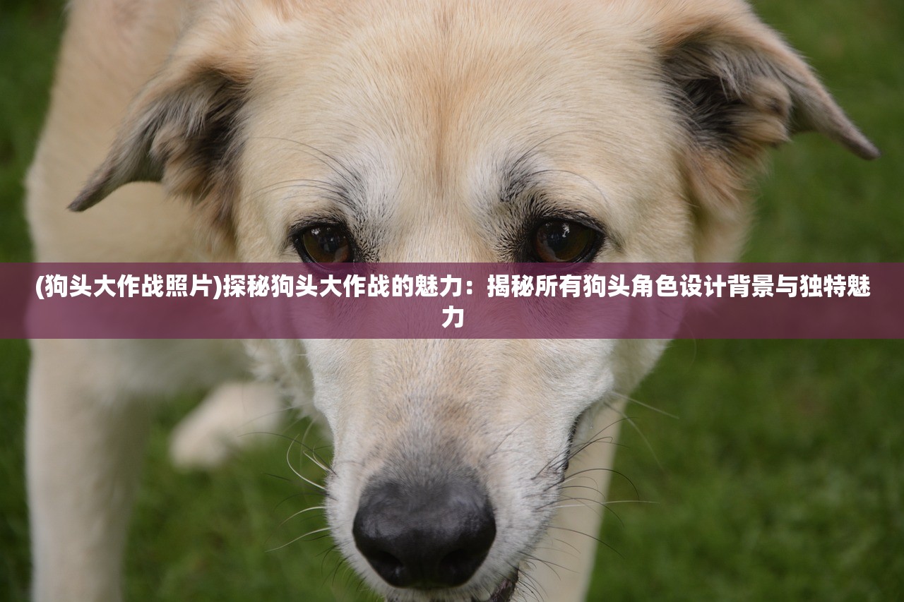 (皇座战争百度版下载安装)皇座战争百度版，战略对决的新纪元