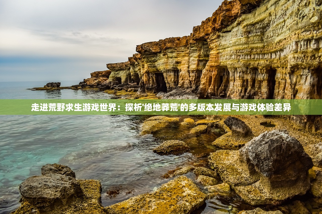 (密林纷争最强阵容搭配攻略)密林纷争，探寻最强阵容搭配策略