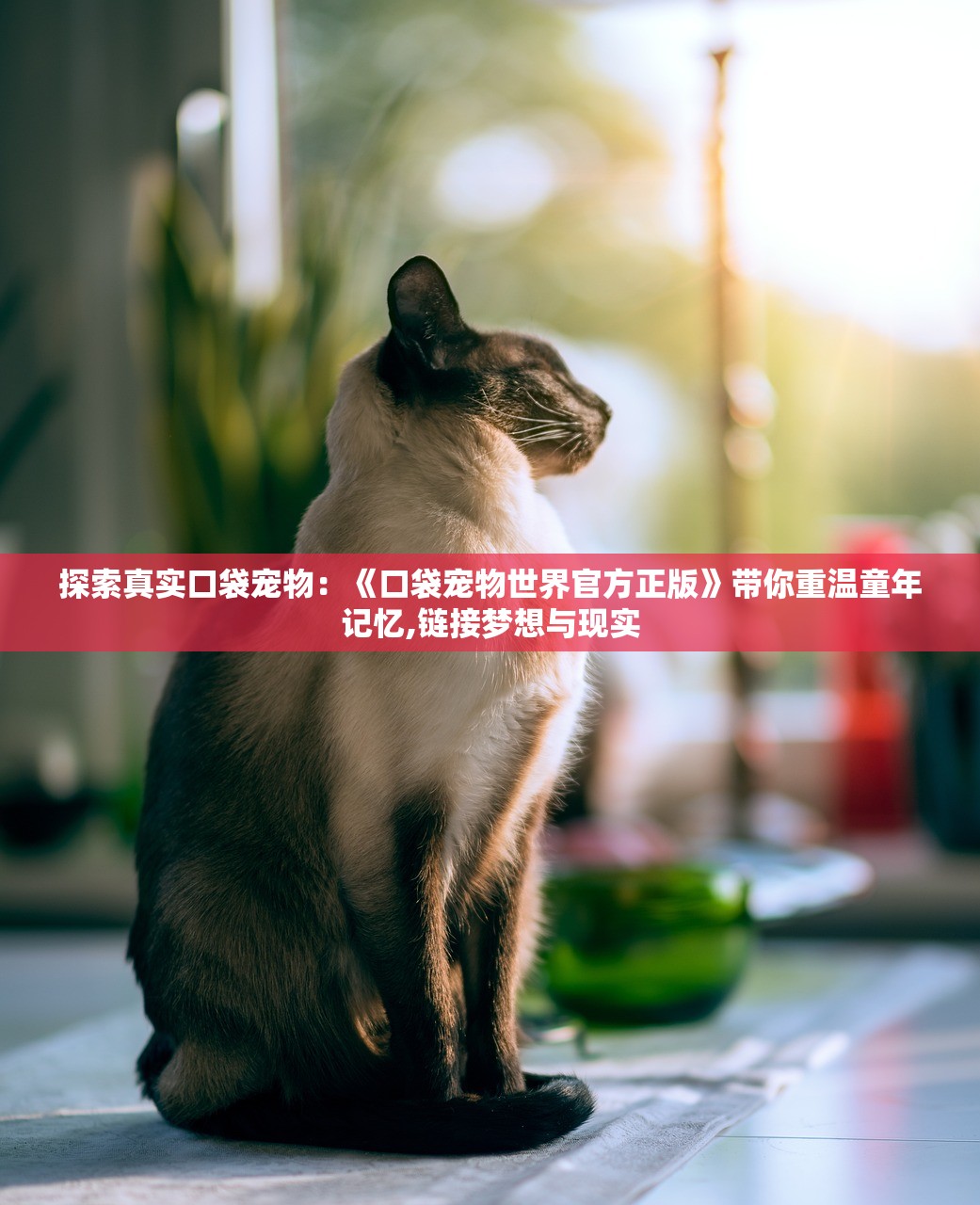 (琪琪的假期安卓中文)琪琪的假期，广告版观看体验解析
