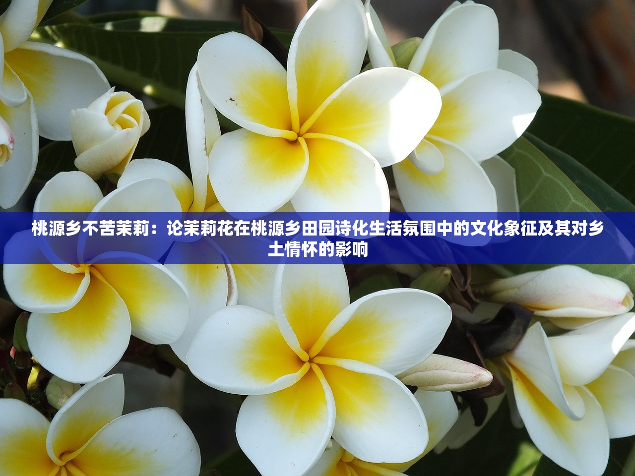 (软件开发工具包可以卸载吗)软件开发工具包（SDK），赋能开发者，推动创新的利器