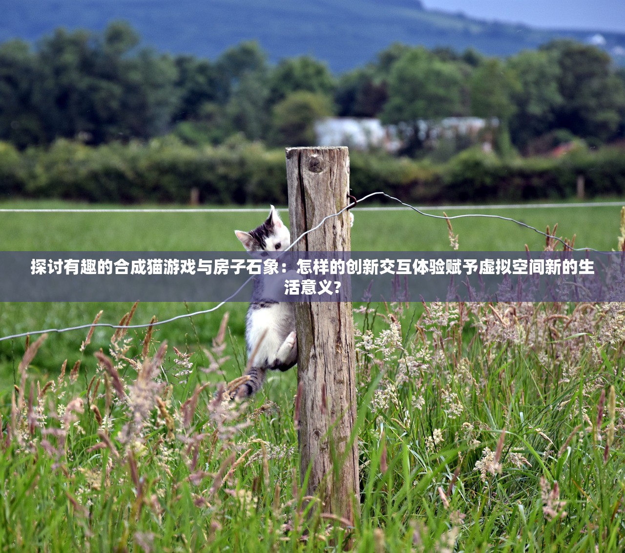 (萌斗魏蜀吴攻略详细)萌斗魏蜀吴攻略大全及常见问题解答