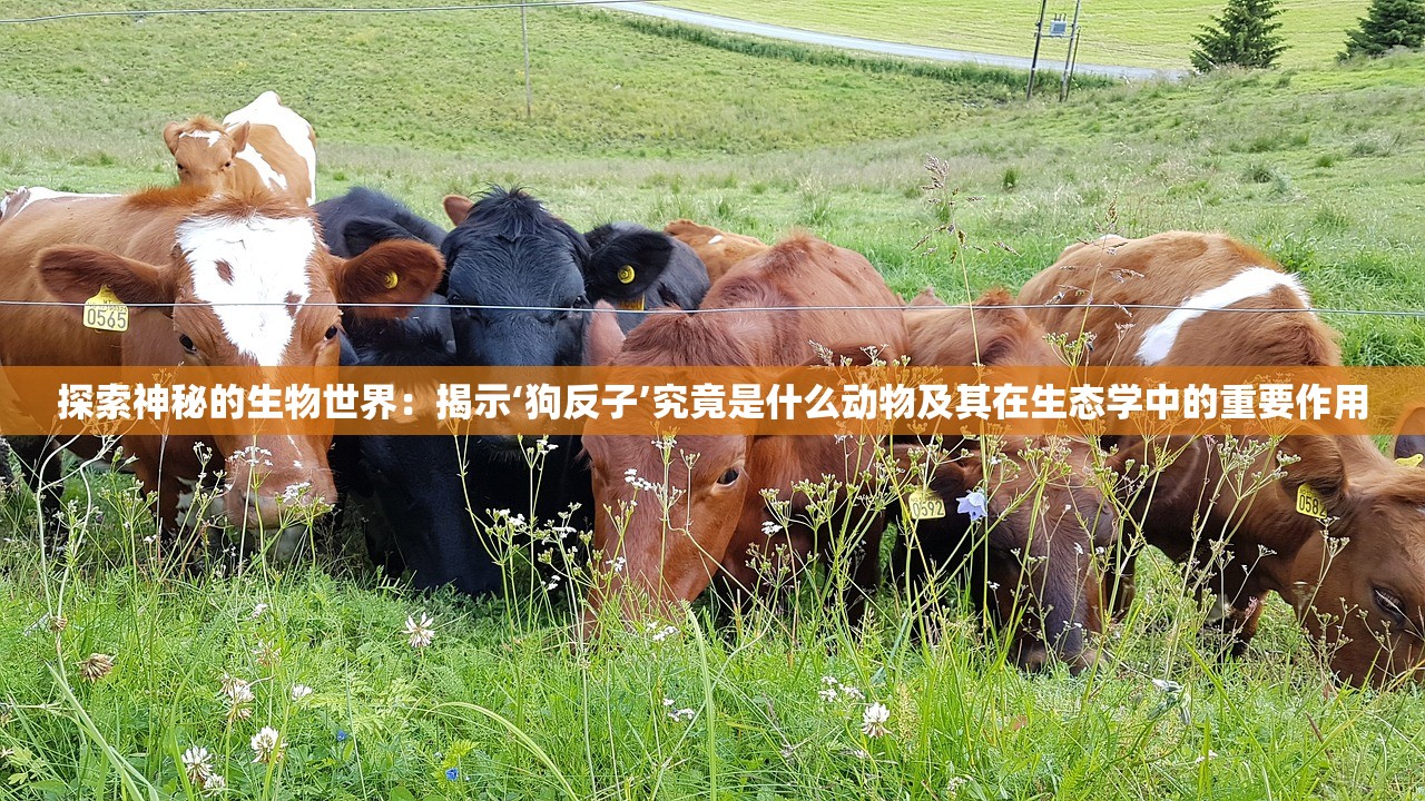 (跨越星弧单机破解)跨越星弧，Mumu平台的探索与挑战