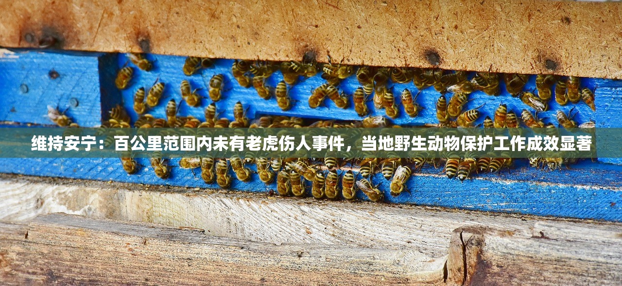 (金装裁决之传世无双下载)金装裁决之传世无双，一款传奇游戏的深度探索
