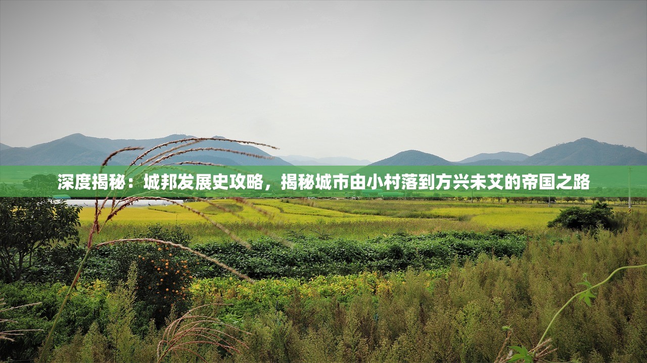 (植物大战僵尸2中文版内置修改器下载)植物大战僵尸2中文版内置修改器的深度解析与常见问题解答