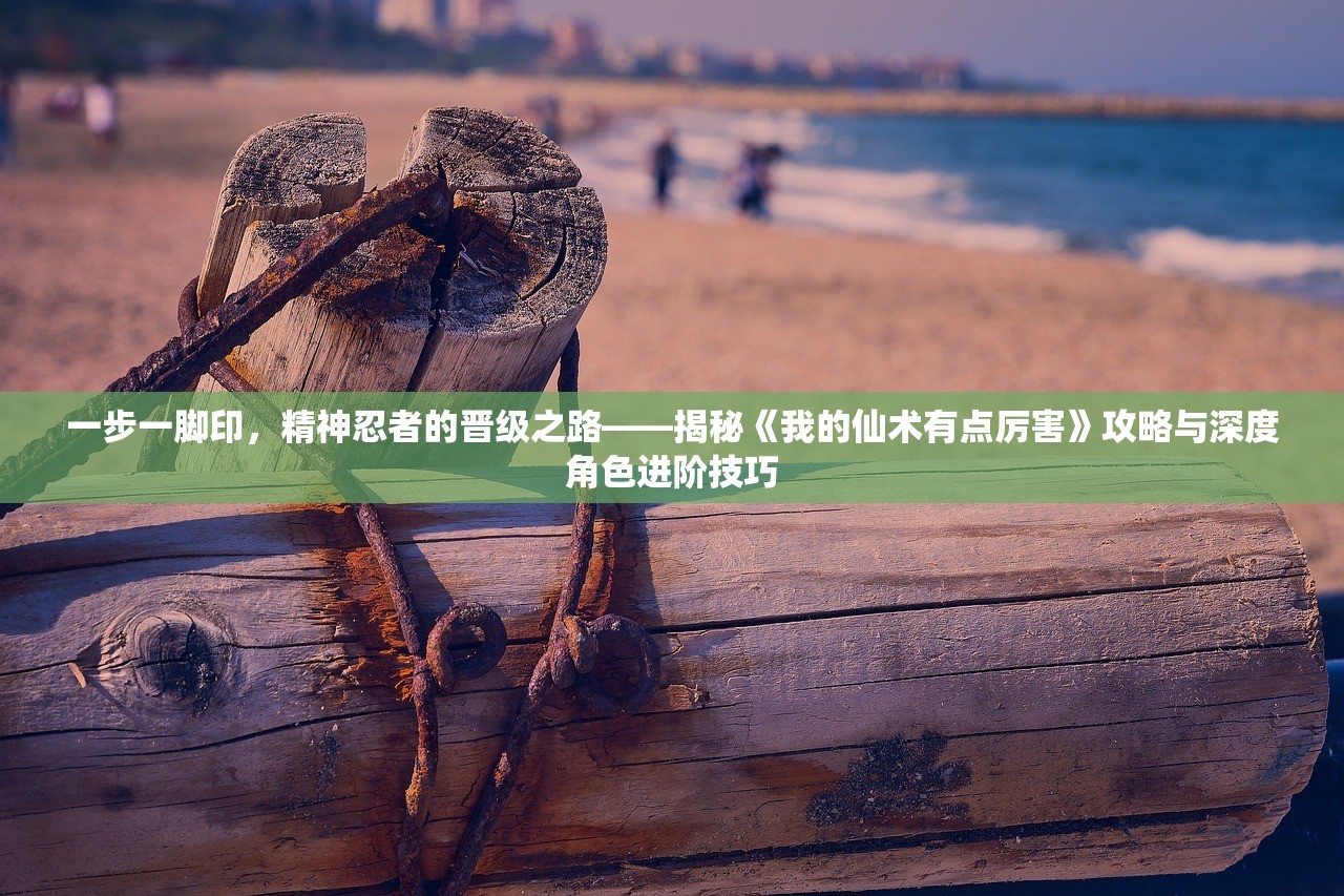 (霆锋传奇激活码是多少啊)霆锋传奇激活码是多少，揭秘与解析游戏激活码获取途径