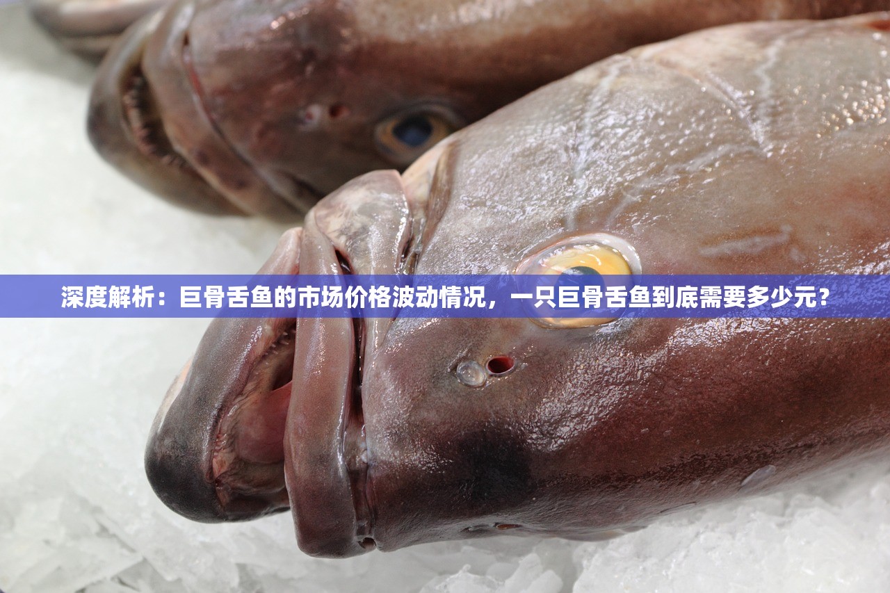 (暗夜破晓发饰)暗夜破晓附魔版最新版本更新内容解析及常见问答