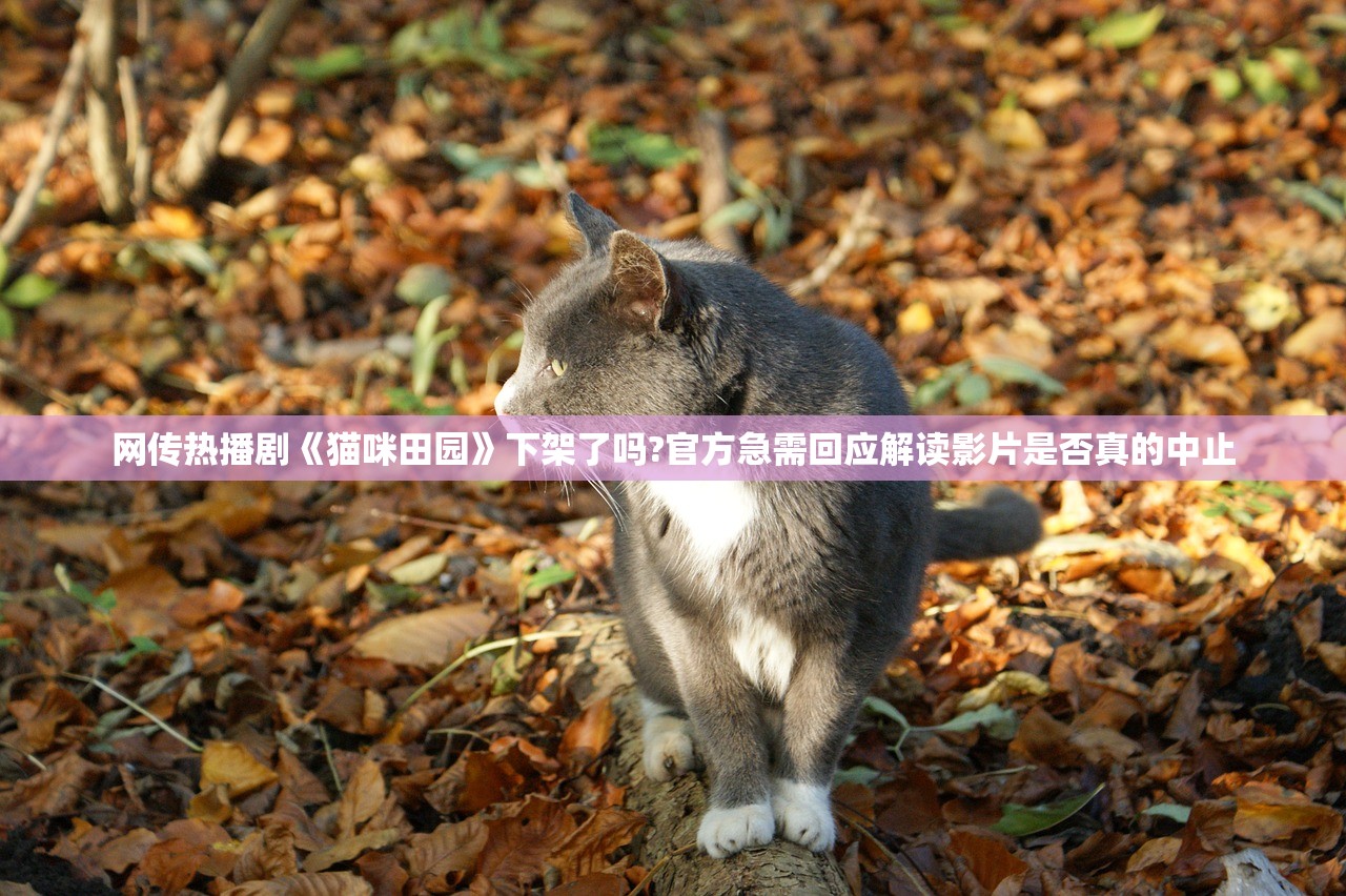 (万界英雄最强阵容排名)万界英雄最强阵容，策略分析与独特搭配指南
