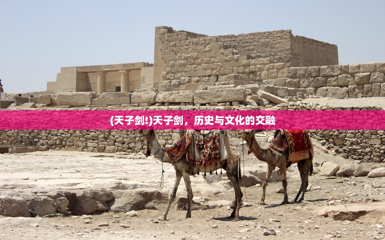 (天启之子)天启之光，小生宁采臣的探寻之旅